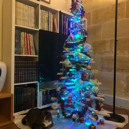 Le Numéro 15 3* Saint-Seurin-sur-l'Isle