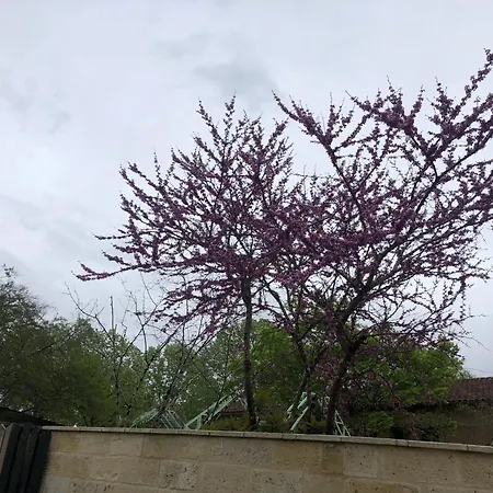 Le Numero 15 ベッド・アンド・ブレックファスト